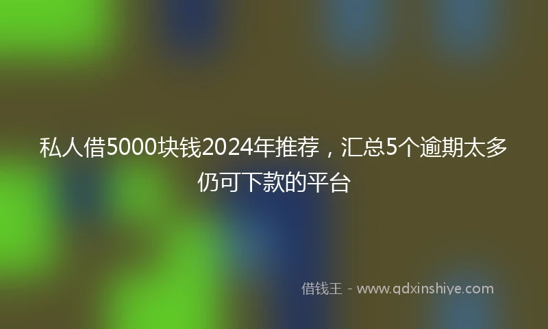 私人借5000块钱2024年推荐，汇总5个逾期太多仍可下款的平台