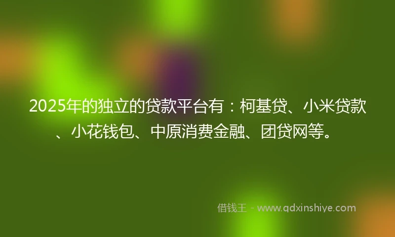 2025年的独立的贷款平台有：柯基贷、小米贷款、小花钱包、中原消费金融、团贷网等。