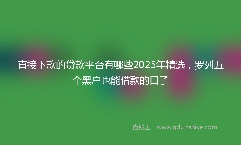直接下款的贷款平台有哪些2025年精选，罗列五个黑户也能借款的口子