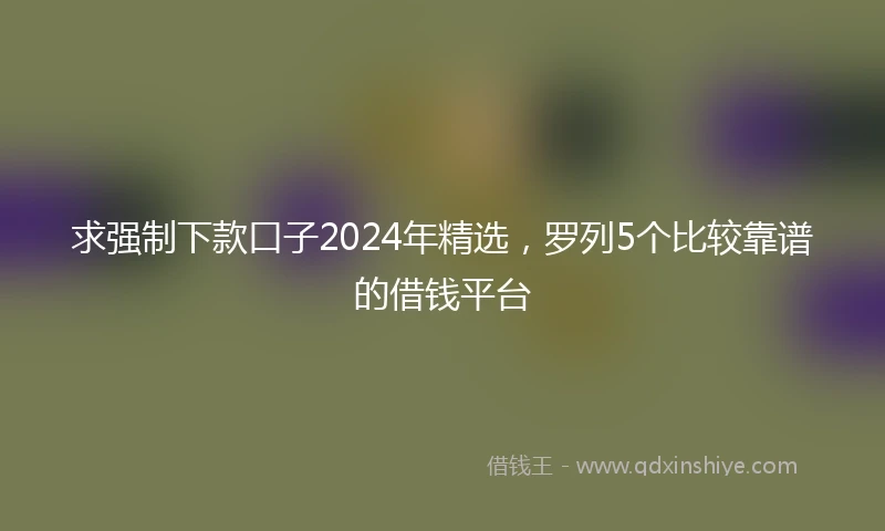求强制下款口子2024年精选，罗列5个比较靠谱的借钱平台