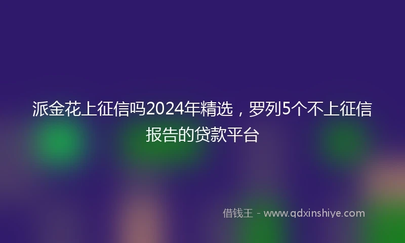 派金花上征信吗2024年精选，罗列5个不上征信报告的贷款平台