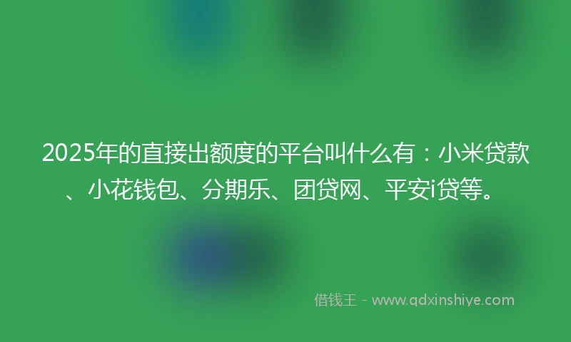 2025年的直接出额度的平台叫什么有：小米贷款、小花钱包、分期乐、团贷网、平安i贷等。