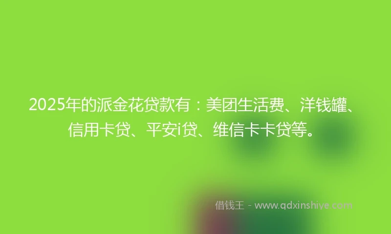 2025年的派金花贷款有：美团生活费、洋钱罐、信用卡贷、平安i贷、维信卡卡贷等。