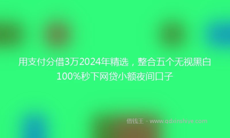 用支付分借3万2024年精选，整合五个无视黑白100%秒下网贷小额夜间口子