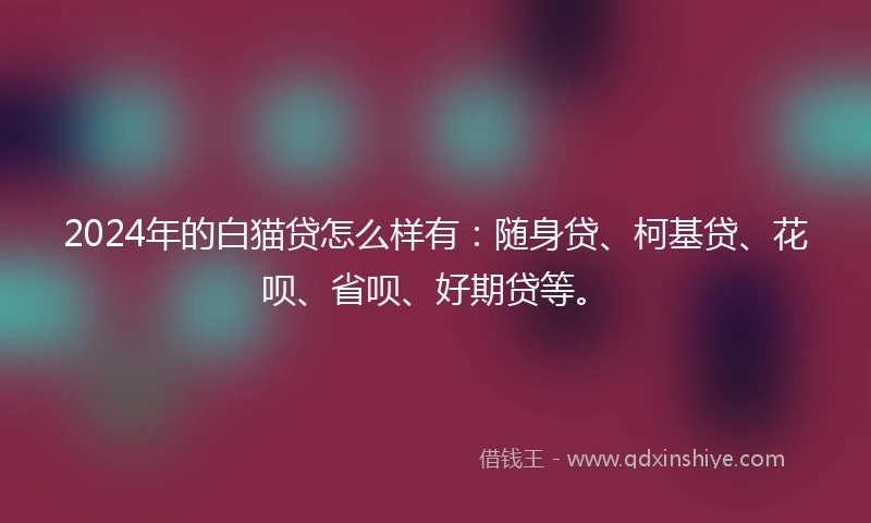 2024年的白猫贷怎么样有：随身贷、柯基贷、花呗、省呗、好期贷等。