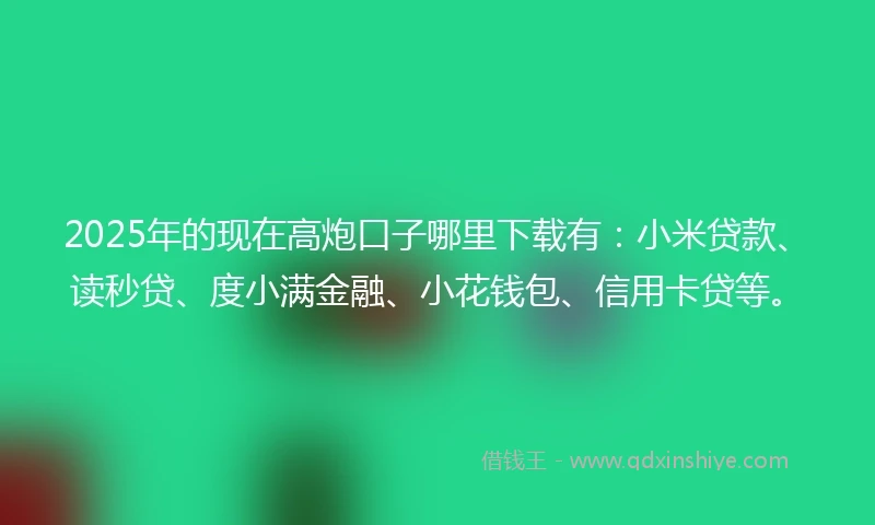 2025年的现在高炮口子哪里下载有：小米贷款、读秒贷、度小满金融、小花钱包、信用卡贷等。