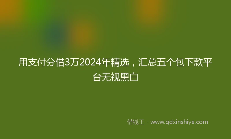 用支付分借3万2024年精选，汇总五个包下款平台无视黑白