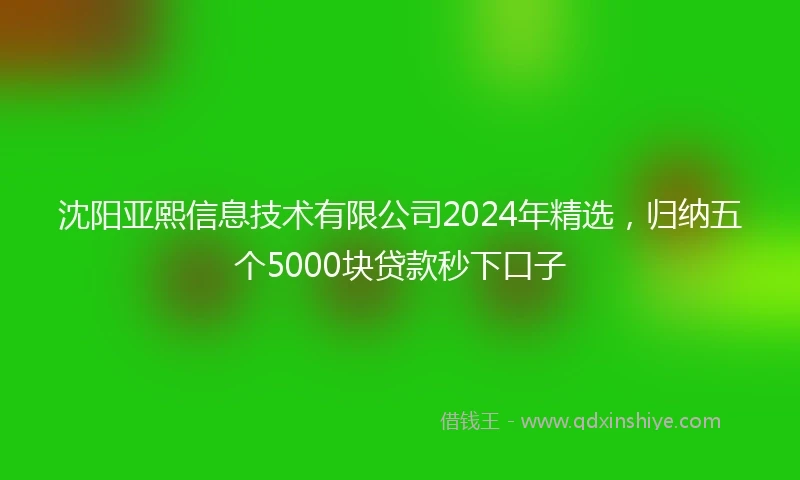 沈阳亚熙信息技术有限公司2024年精选，归纳五个5000块贷款秒下口子