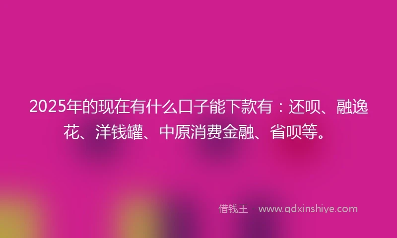 2025年的现在有什么口子能下款有：还呗、融逸花、洋钱罐、中原消费金融、省呗等。