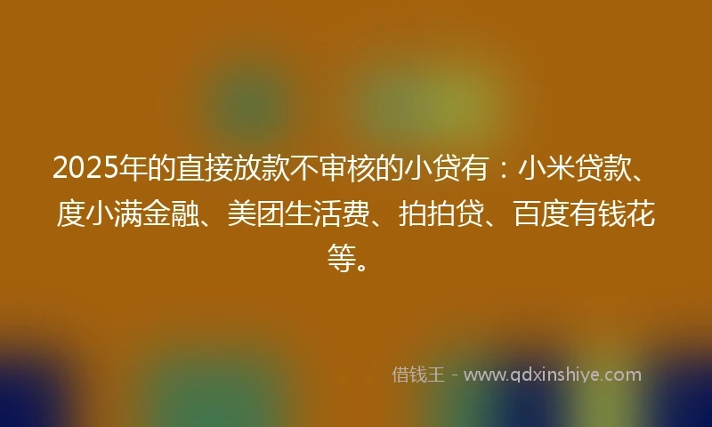 2025年的直接放款不审核的小贷有：小米贷款、度小满金融、美团生活费、拍拍贷、百度有钱花等。