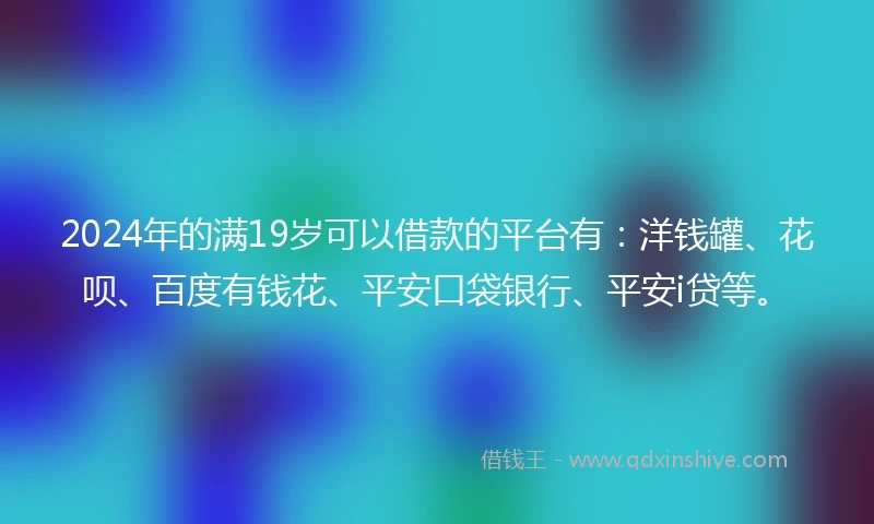 2024年的满19岁可以借款的平台有：洋钱罐、花呗、百度有钱花、平安口袋银行、平安i贷等。