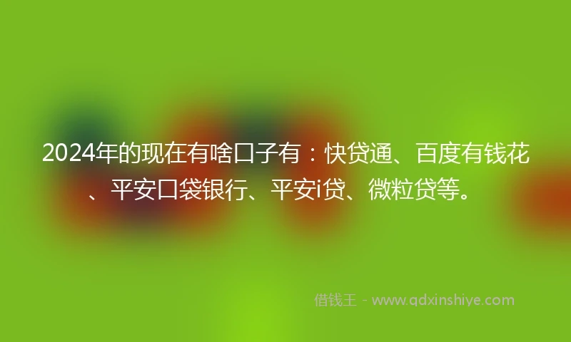 2024年的现在有啥口子有：快贷通、百度有钱花、平安口袋银行、平安i贷、微粒贷等。