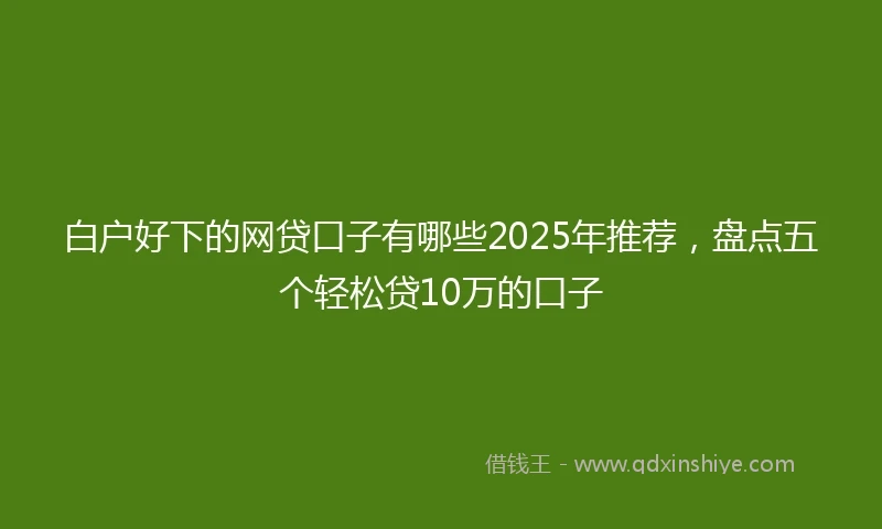 白户好下的网贷口子有哪些2025年推荐，盘点五个轻松贷10万的口子