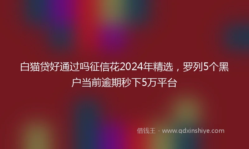 白猫贷好通过吗征信花2024年精选，罗列5个黑户当前逾期秒下5万平台
