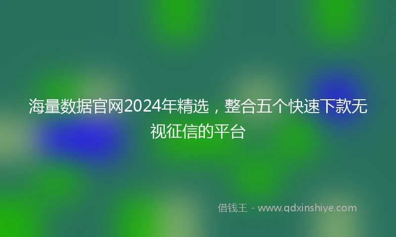 海量数据官网2024年精选，整合五个快速下款无视征信的平台
