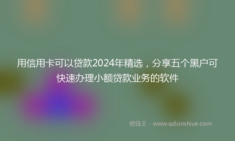 用信用卡可以贷款2024年精选,分享五个黑户可快速办理小额贷款业务的软件