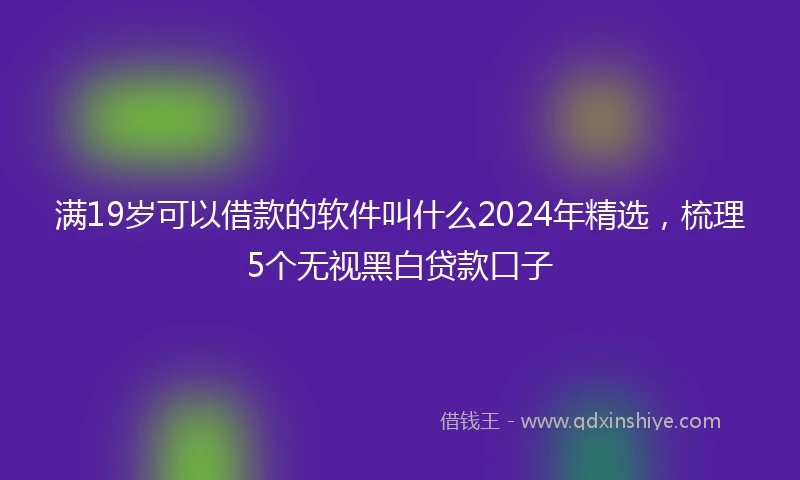 满19岁可以借款的软件叫什么2024年精选，梳理5个无视黑白贷款口子