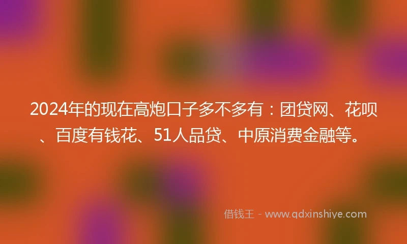 2024年的现在高炮口子多不多有：团贷网、花呗、百度有钱花、51人品贷、中原消费金融等。
