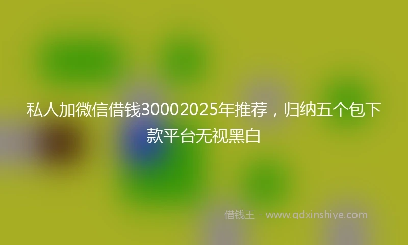 私人加微信借钱30002025年推荐，归纳五个包下款平台无视黑白