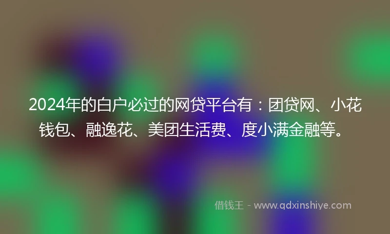 2024年的白户必过的网贷平台有：团贷网、小花钱包、融逸花、美团生活费、度小满金融等。
