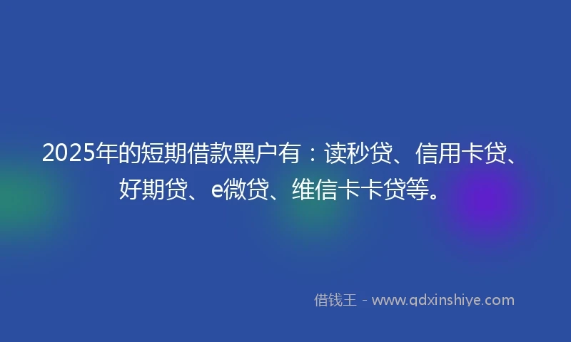 2025年的短期借款黑户有：读秒贷、信用卡贷、好期贷、e微贷、维信卡卡贷等。