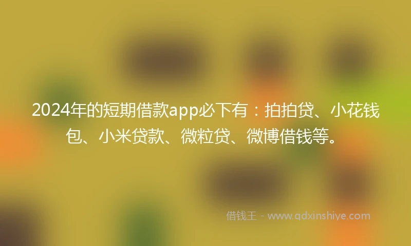 2024年的短期借款app必下有：拍拍贷、小花钱包、小米贷款、微粒贷、微博借钱等。