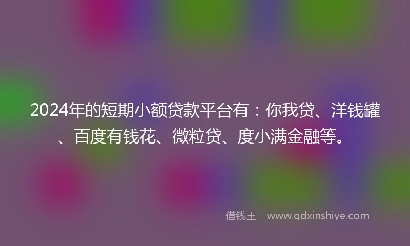 2024年的短期小额贷款平台有：你我贷、洋钱罐、百度有钱花、微粒贷、度小满金融等。