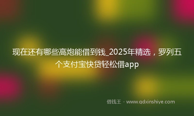 现在还有哪些高炮能借到钱_2025年精选，罗列五个支付宝快贷轻松借app