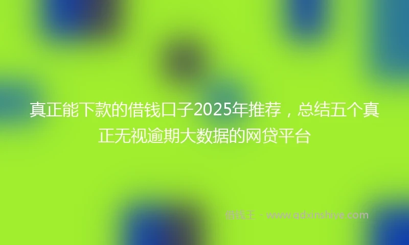 真正能下款的借钱口子2025年推荐，总结五个真正无视逾期大数据的网贷平台