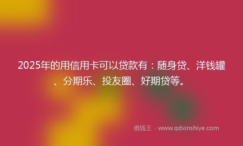 2025年的用信用卡可以贷款有：随身贷、洋钱罐、分期乐、投友圈、好期贷等。