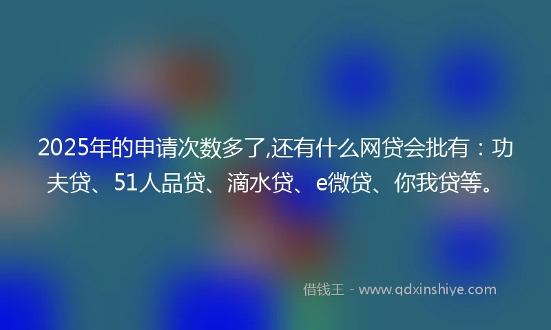 2025年的申请次数多了,还有什么网贷会批有：功夫贷、51人品贷、滴水贷、e微贷、你我贷等。