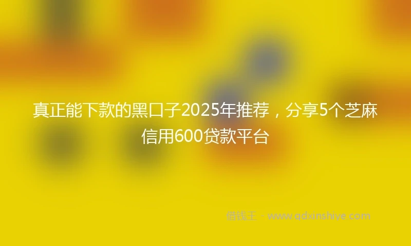真正能下款的黑口子2025年推荐，分享5个芝麻信用600贷款平台