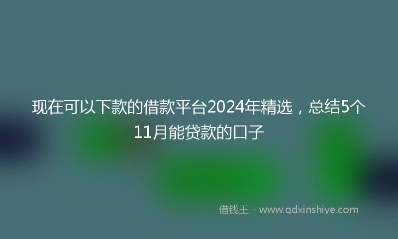 现在可以下款的借款平台2024年精选，总结5个11月能贷款的口子