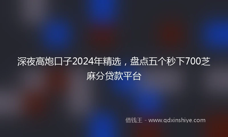 深夜高炮口子2024年精选,盘点五个秒下700芝麻分贷款平台