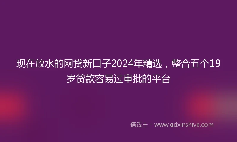 现在放水的网贷新口子2024年精选,整合五个19岁贷款容易过审批的平台