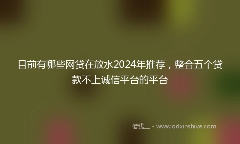 目前有哪些网贷在放水2024年推荐，整合五个贷款不上诚信平台的平台