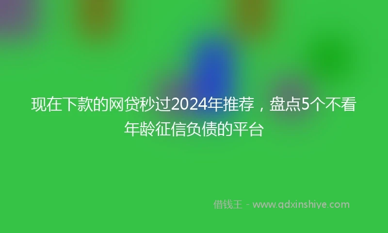 现在下款的网贷秒过2024年推荐，盘点5个不看年龄征信负债的平台