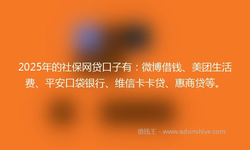 2025年的社保网贷口子有：微博借钱、美团生活费、平安口袋银行、维信卡卡贷、惠商贷等。