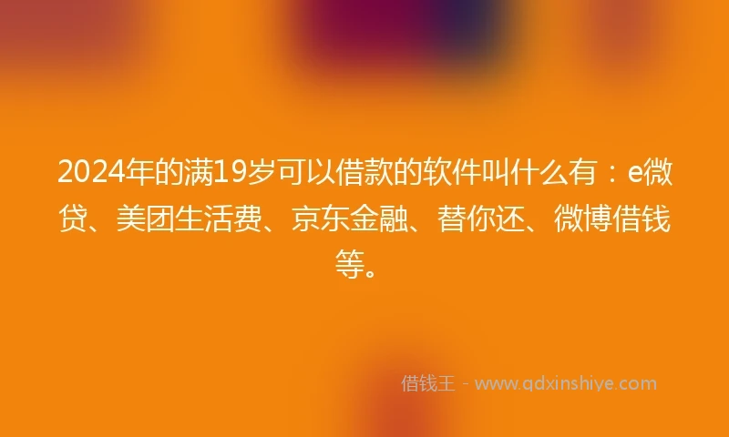 2024年的满19岁可以借款的软件叫什么有：e微贷、美团生活费、京东金融、替你还、微博借钱等。