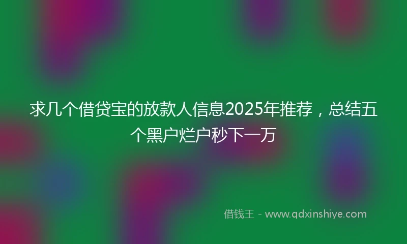 求几个借贷宝的放款人信息2025年推荐，总结五个黑户烂户秒下一万
