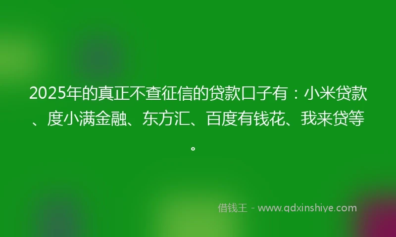 2025年的真正不查征信的贷款口子有：小米贷款、度小满金融、东方汇、百度有钱花、我来贷等。