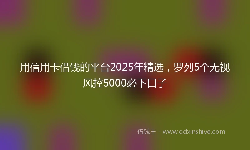 用信用卡借钱的平台2025年精选,罗列5个无视风控5000必下口子