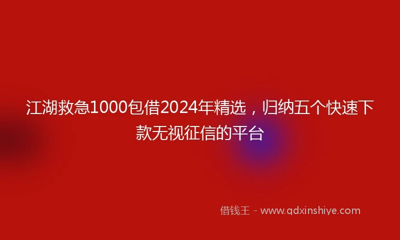 江湖救急1000包借2024年精选，归纳五个快速下款无视征信的平台