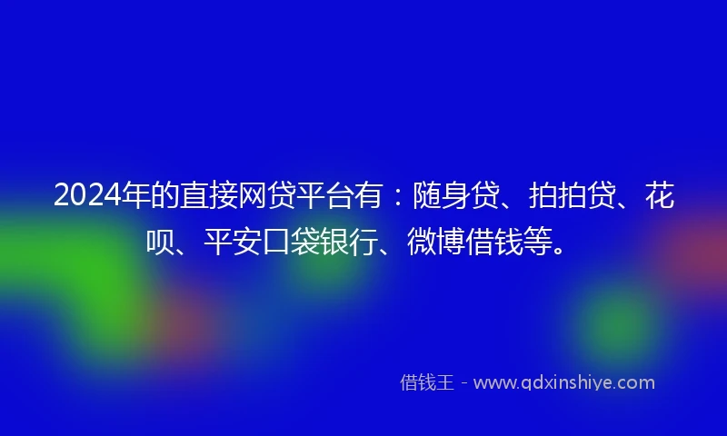 2024年的直接网贷平台有：随身贷、拍拍贷、花呗、平安口袋银行、微博借钱等。