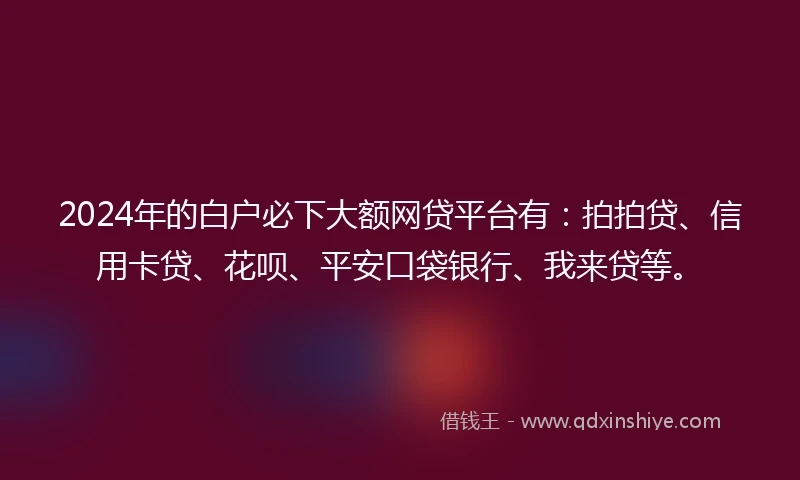 2024年的白户必下大额网贷平台有：拍拍贷、信用卡贷、花呗、平安口袋银行、我来贷等。