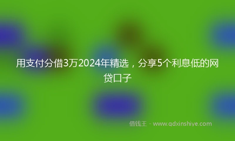 用支付分借3万2024年精选,分享5个利息低的网贷口子