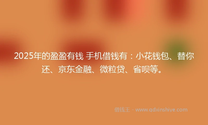 2025年的盈盈有钱 手机借钱有：小花钱包、替你还、京东金融、微粒贷、省呗等。