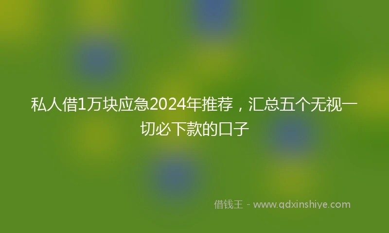 私人借1万块应急2024年推荐，汇总五个无视一切必下款的口子