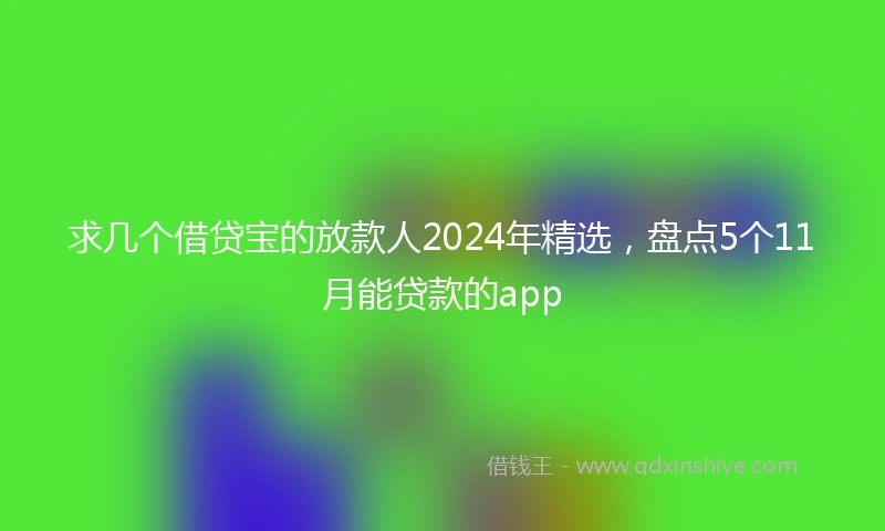 求几个借贷宝的放款人2024年精选，盘点5个11月能贷款的app