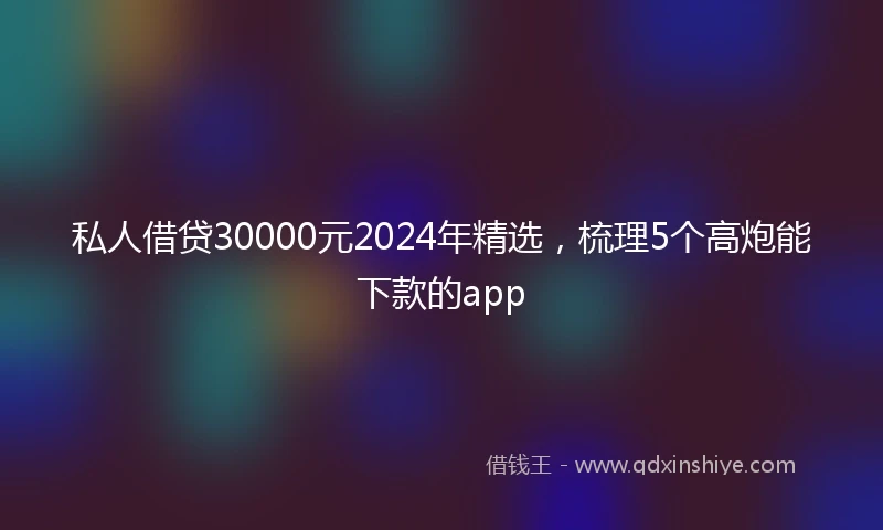私人借贷30000元2024年精选，梳理5个高炮能下款的app